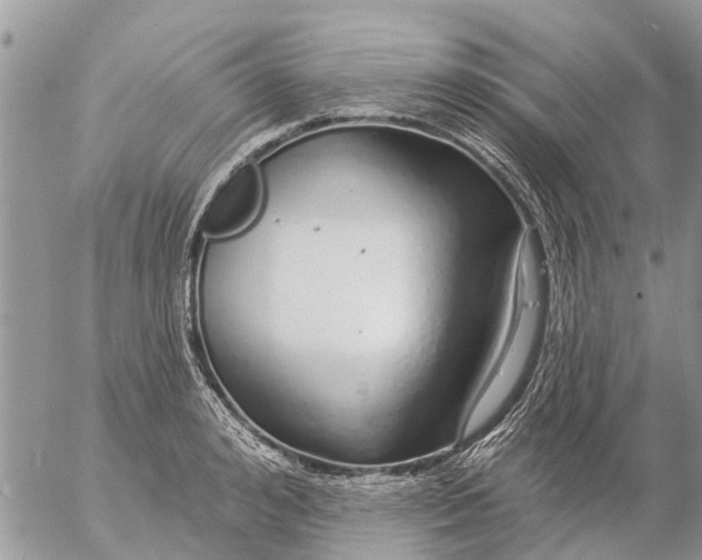 X0000057090992200509231645