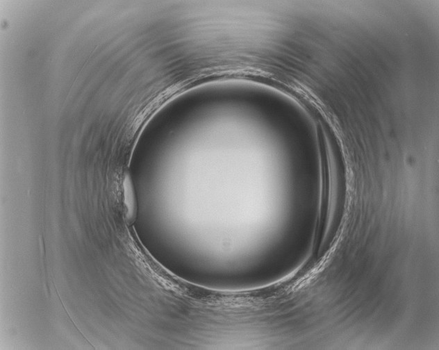 X0000057090993200509231645