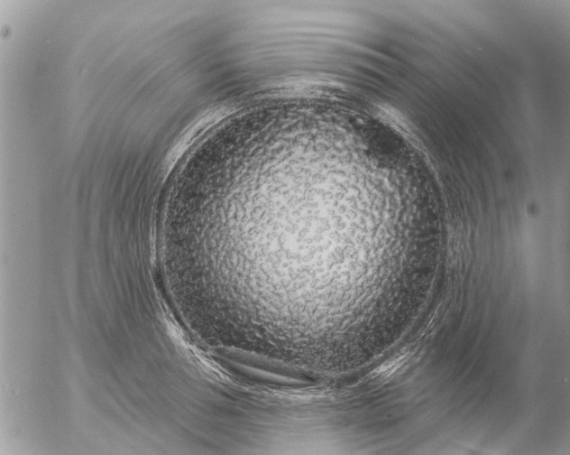 X0000057090994200509231645