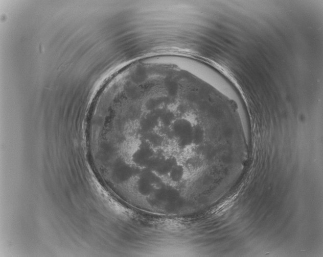 X0000057090995200509231645