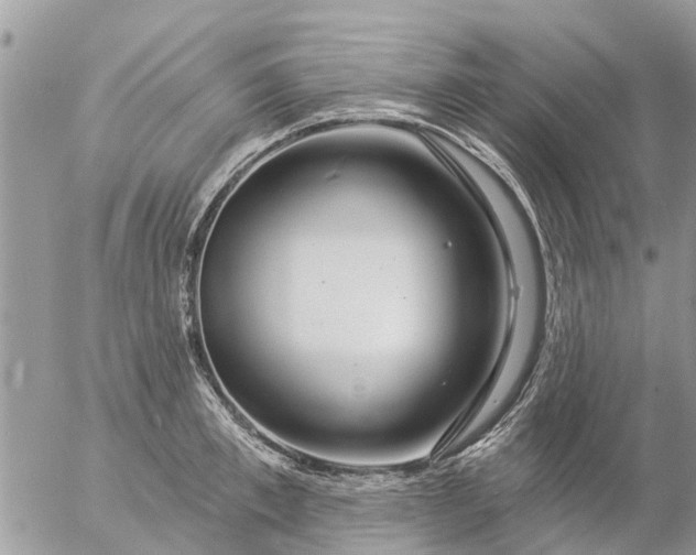 X0000057090997200509231645