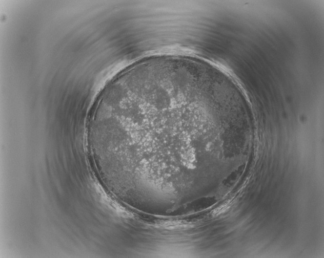 X0000057090998200509231645