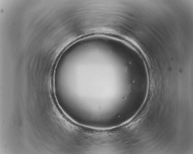 X0000057090999200509231645