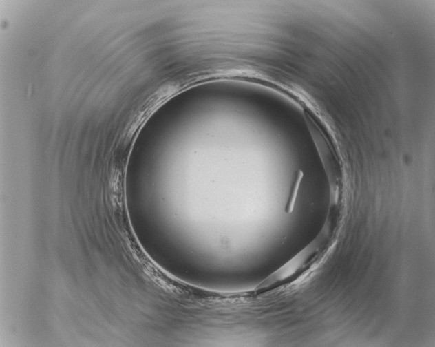 X0000057091001200509231645