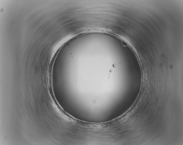 X0000057091003200509231645