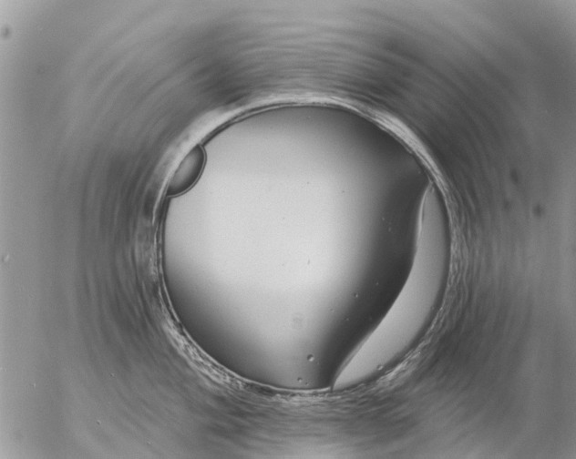 X0000057091004200509231645