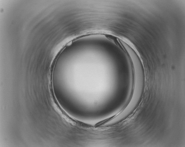 X0000057091005200509231645