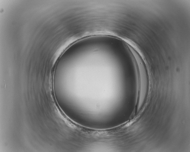 X0000057091006200509231645