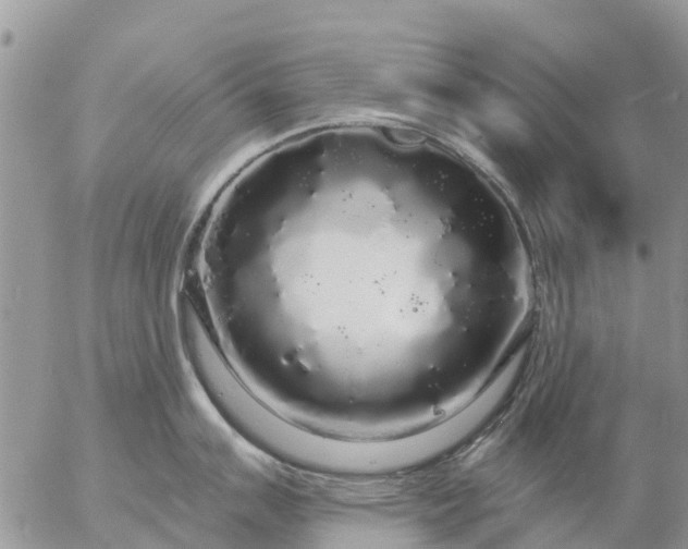 X0000057091007200509231645