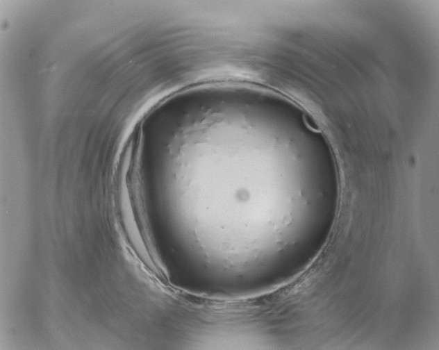 X0000057091008200509231645