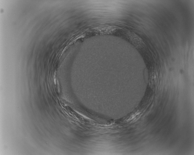 X0000057091010200509231644