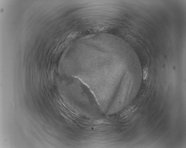 X0000057091011200509231644