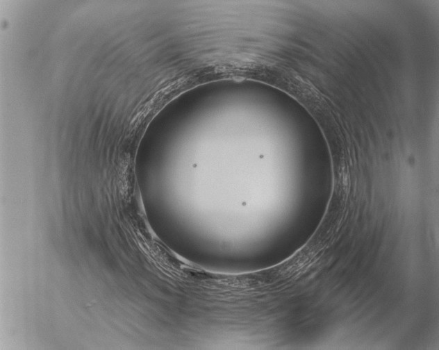 X0000057091012200509231644