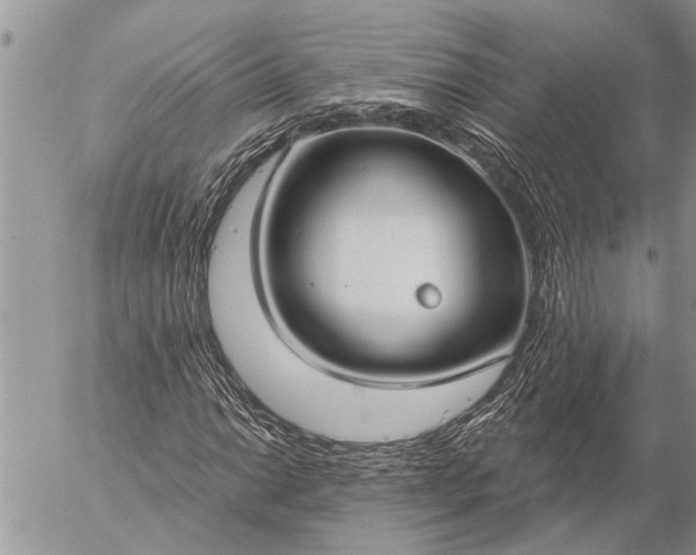 X0000057091014200509231644