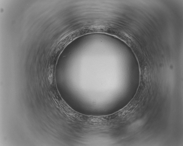 X0000057091015200509231644