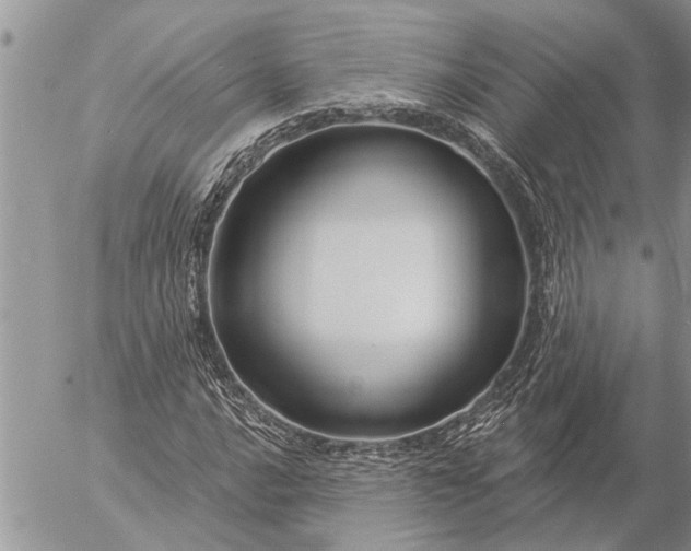 X0000057091016200509231644