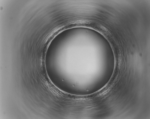 X0000057091017200509231644