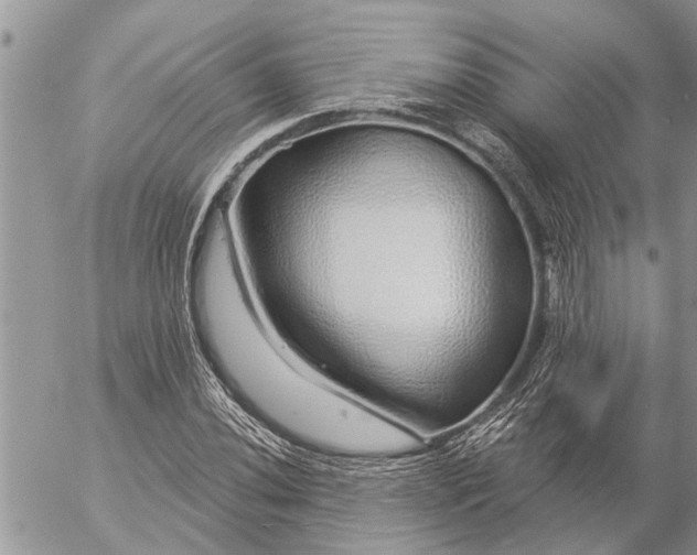 X0000057091020200509231644