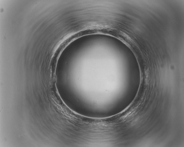 X0000057091021200509231644