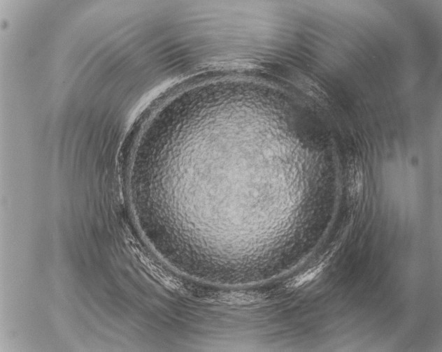 X0000057091022200509231644