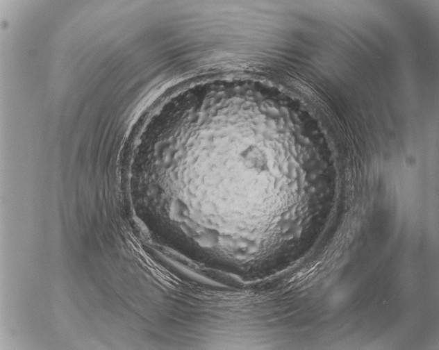 X0000057091023200509231644