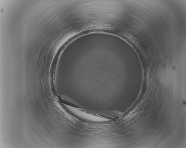 X0000057091024200509231644