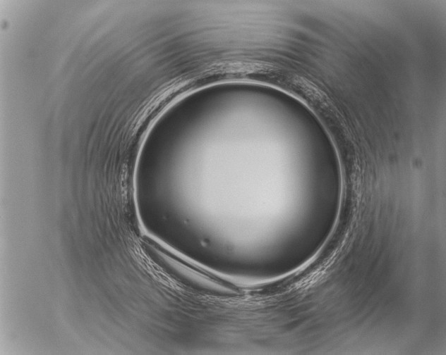 X0000057091025200509231644