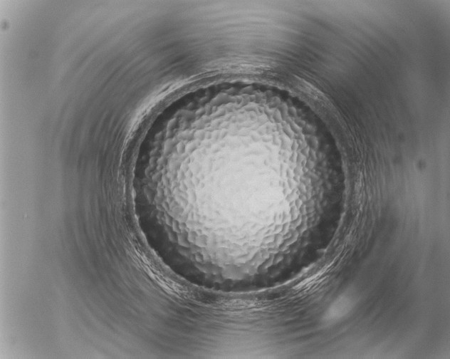 X0000057091027200509231644