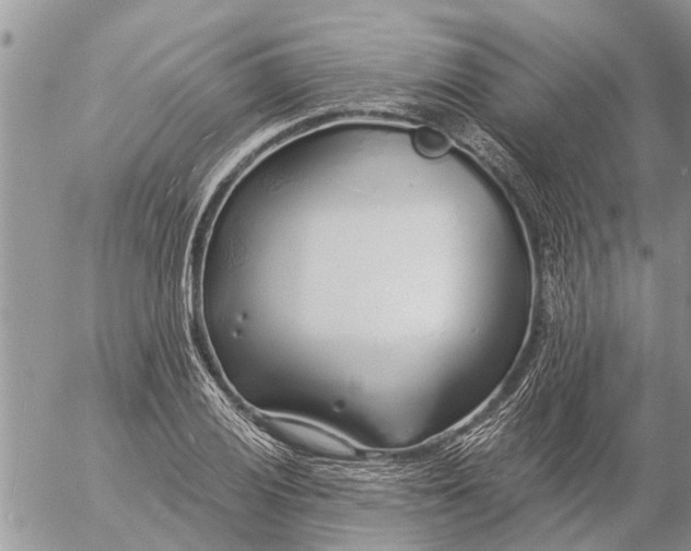 X0000057091028200509231644