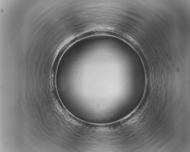 X0000057091029200509231644