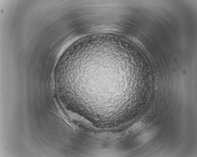 X0000057091031200509231644