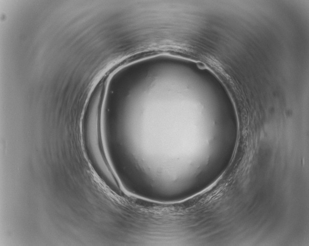 X0000057091032200509231644