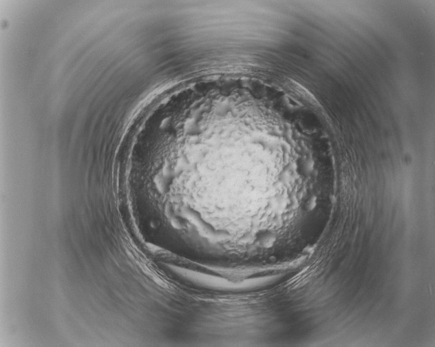 X0000057091035200509231644