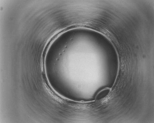 X0000057091036200509231644