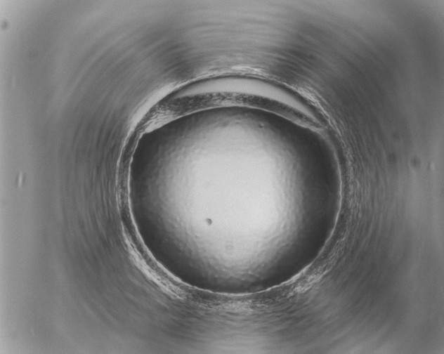 X0000057091038200509231644