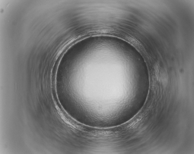 X0000057091039200509231644