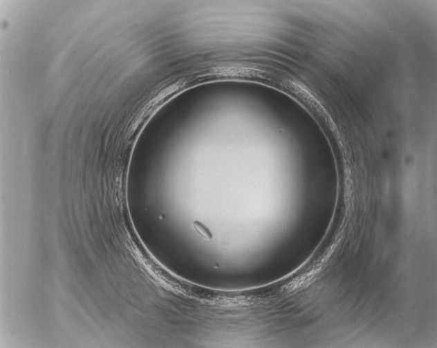 X0000057091041200509231645