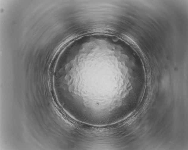 X0000057091043200509231645