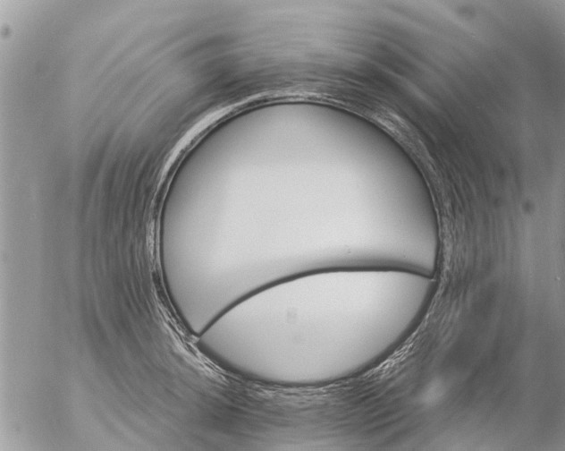 X0000057091044200509231645