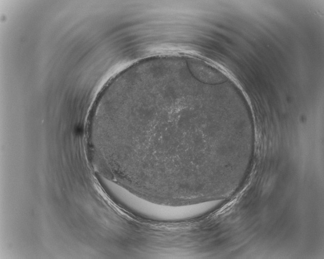 X0000057091045200509231645