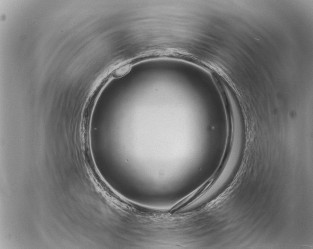 X0000057091046200509231645