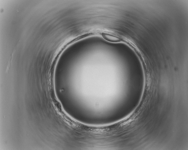 X0000057091048200509231645