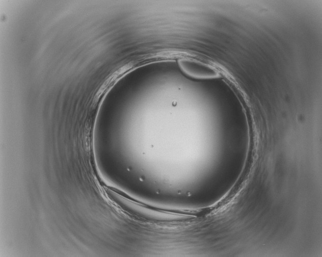 X0000057091049200509231645