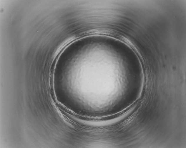 X0000057091050200509231645