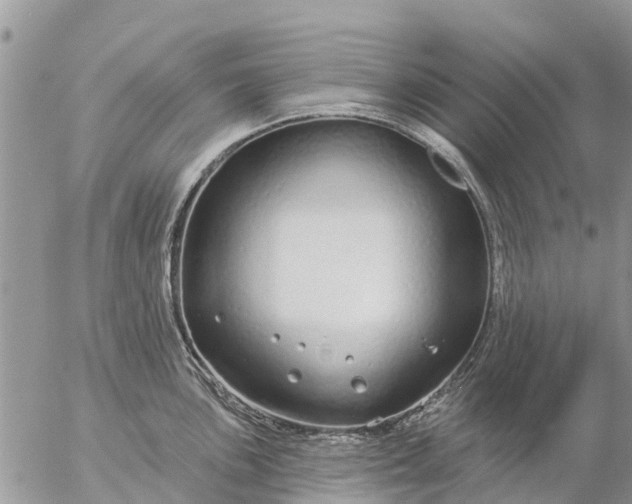 X0000057091051200509231645