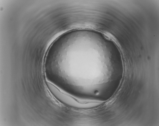 X0000057091052200509231645