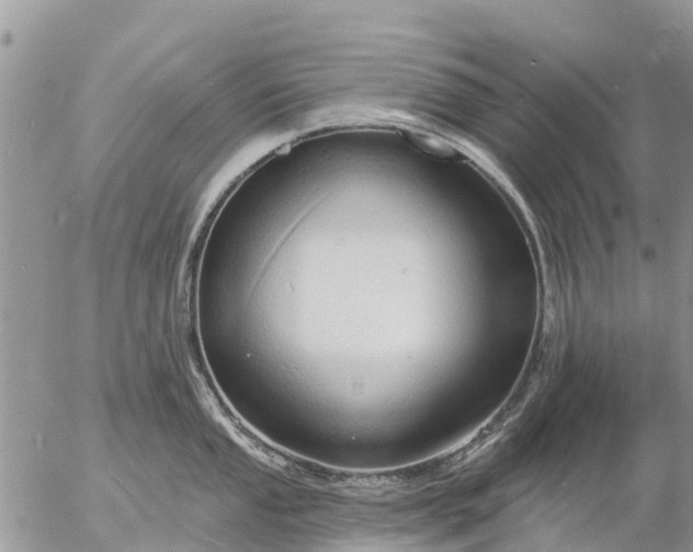 X0000057091053200509231645