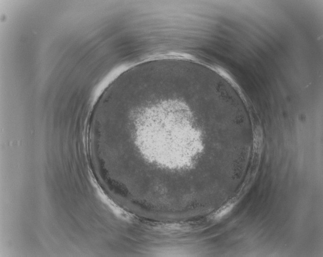 X0000057091054200509231645