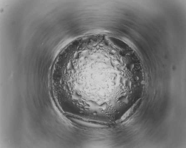 X0000057091055200509231645