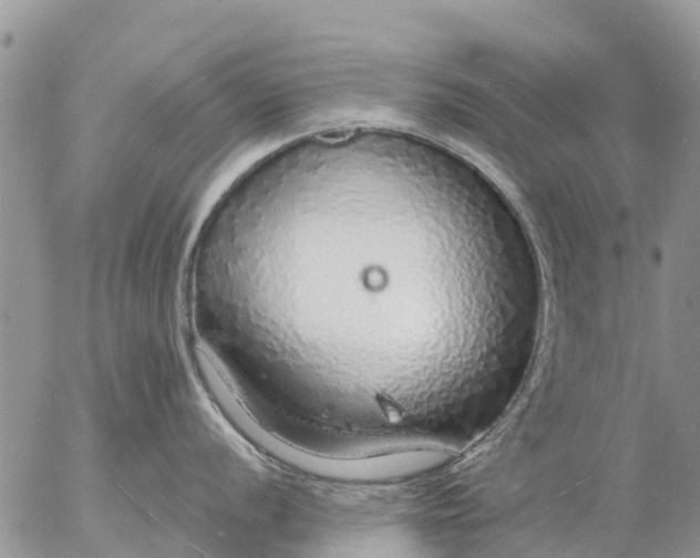 X0000057091056200509231645